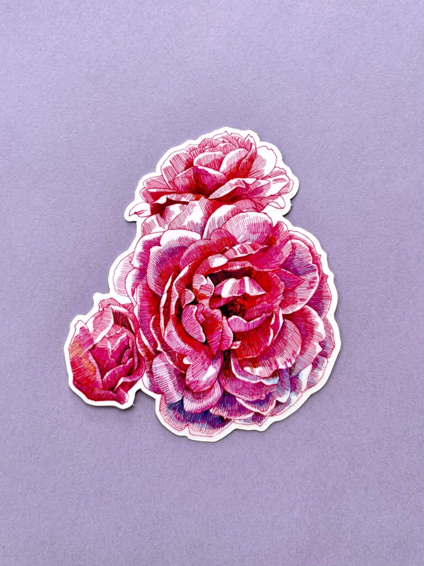 Pink Roses Art Sticker